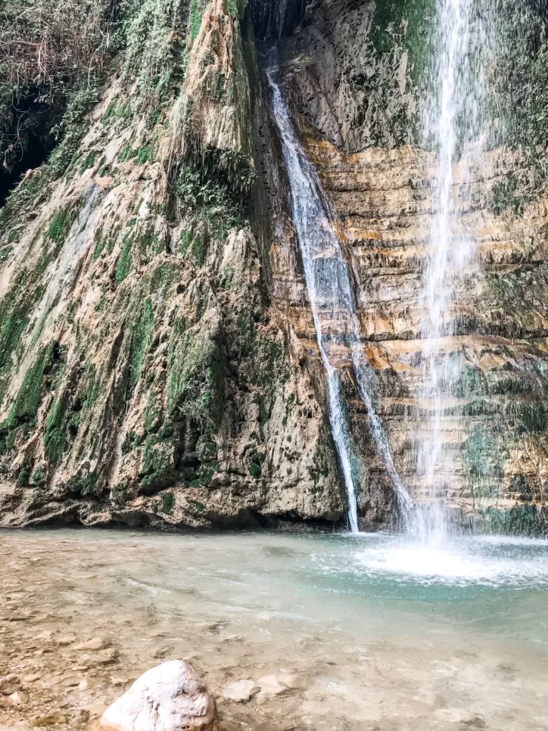 ein Gedi