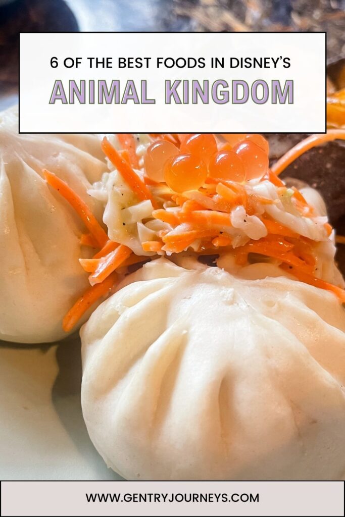 6 of the Best Foods in Disney’s Animal Kingdom