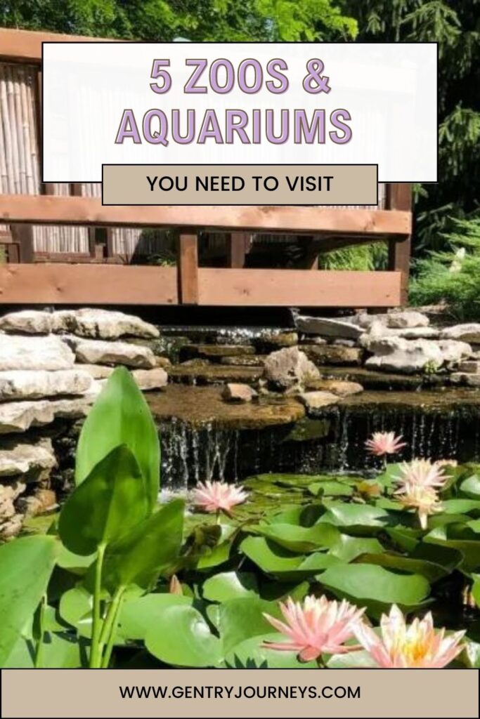 5 Zoos and Aquariums You Need to Visit