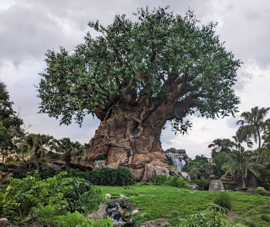 tree of life in animal kingdom