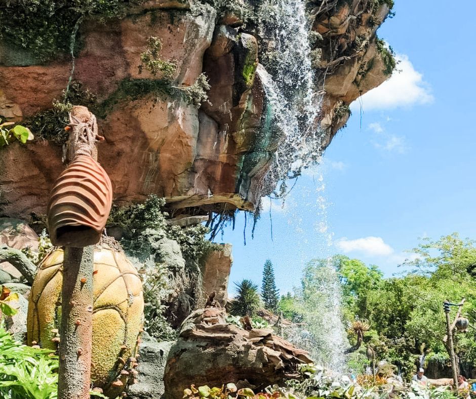 pandora in animal kingdom