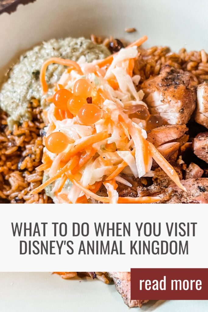 What to Do When You Visit Disney's Animal Kingdom