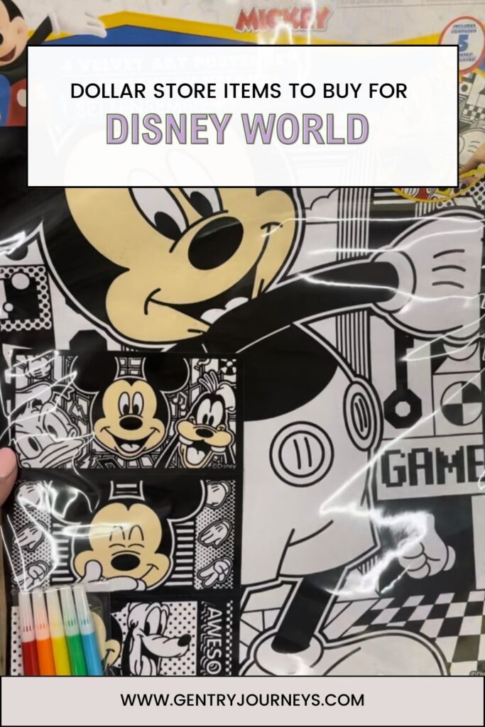 Dollar Store Items to Buy for Disney World