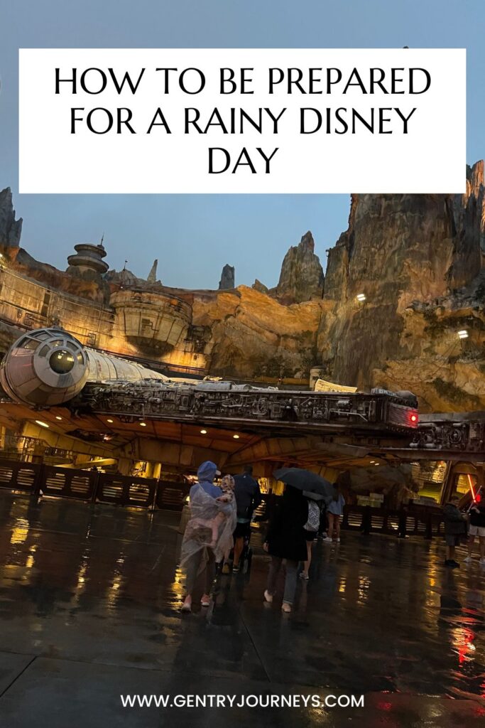 How to Be Prepared for a Rainy Disney Day