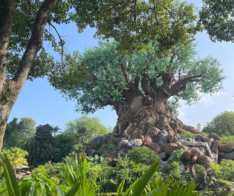 tree of life at animal kingdom