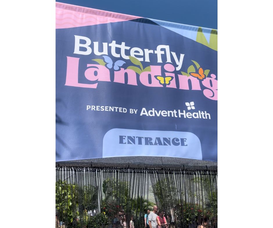 butterfly landing at Epcot