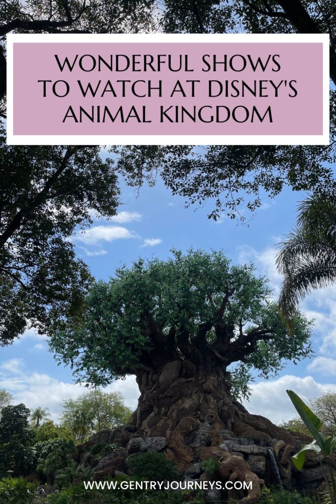 Wonderful Shows to Watch at Disney's Animal Kingdom