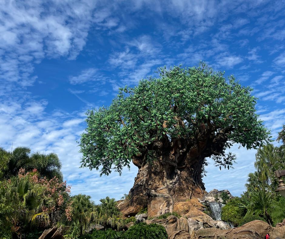 animal kingdom tree