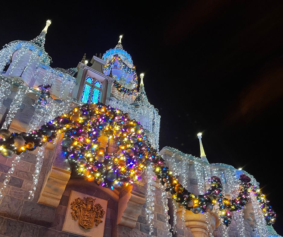 disneyland castle at Christmas